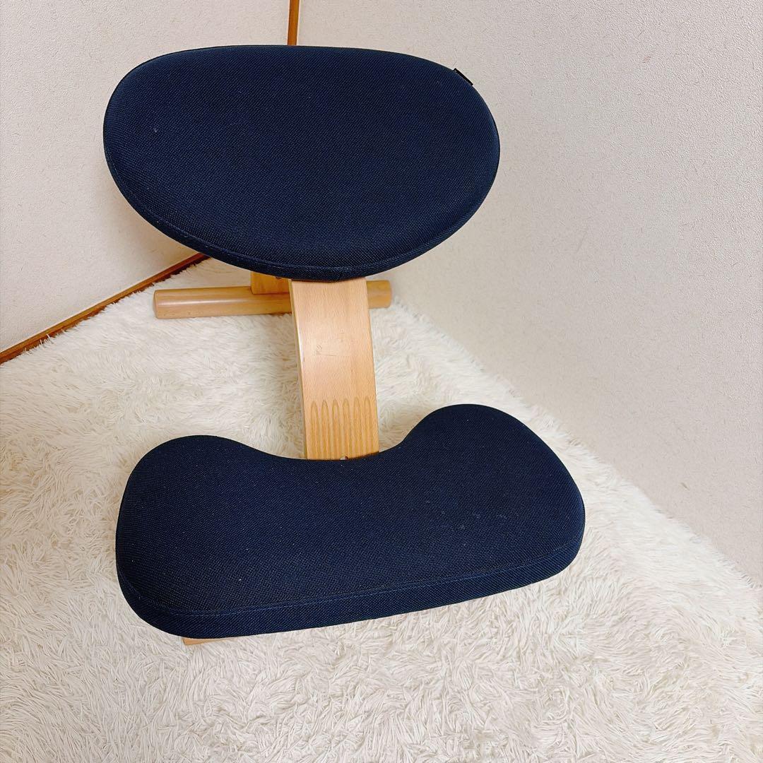 Rybo バランスイージー バランスチェア サカモトハウス 通常フレーム