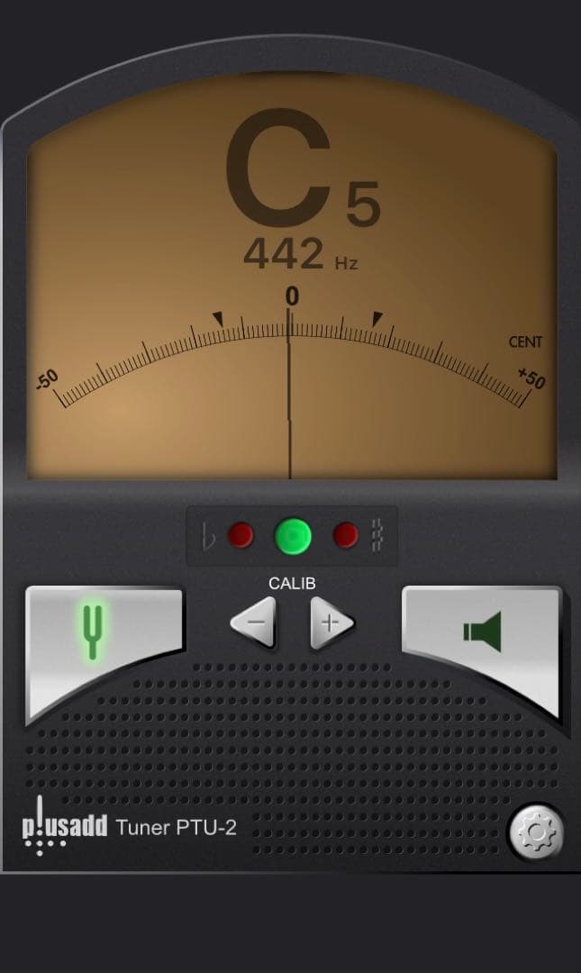 チューンド•タイゴング エクストラ•ハイオクターブ c\" 中古