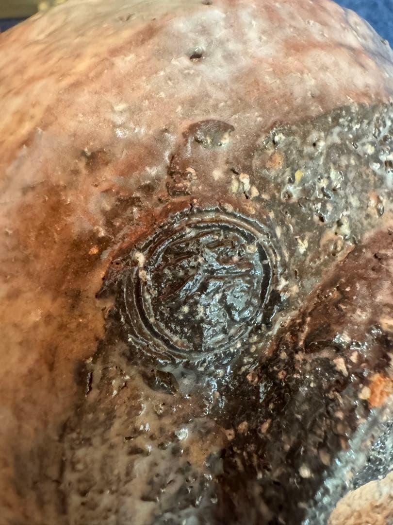 1804 茶碗　『萩焼』『天寵山　七代　兼田三左エ門造』　抹茶碗　未使用