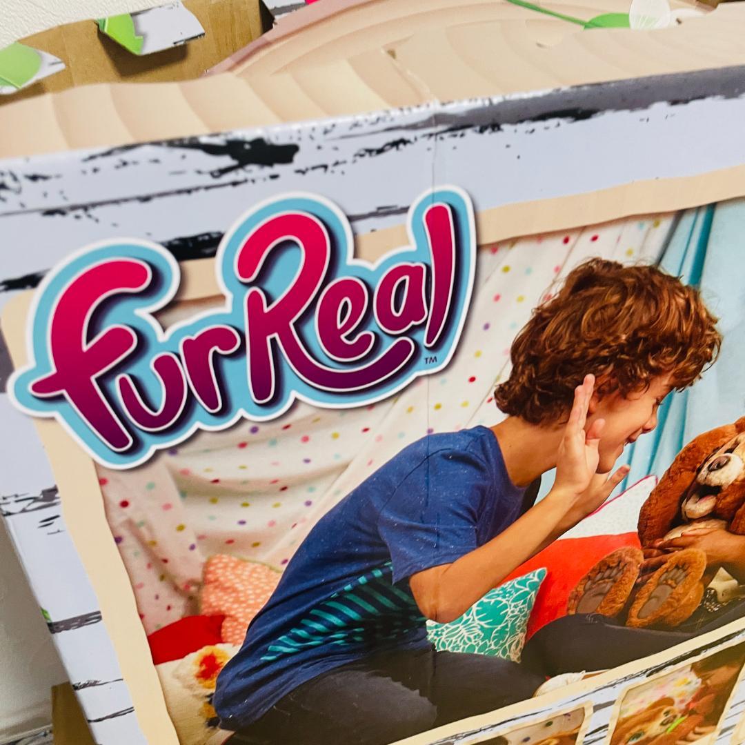 【新品未開封】こぐまのカビー　ファーリアル