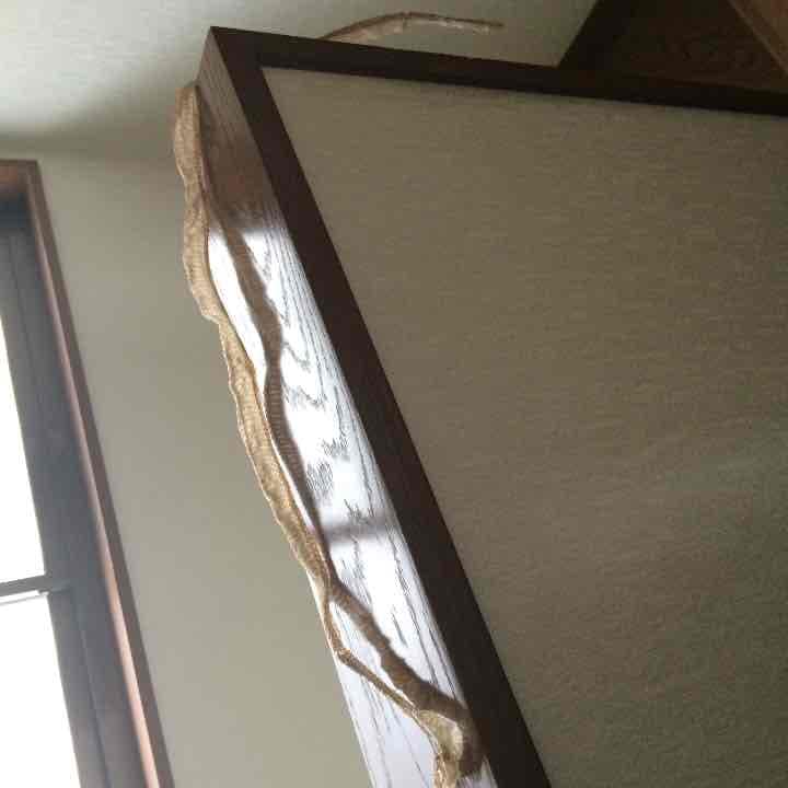 蛇の抜け殻
