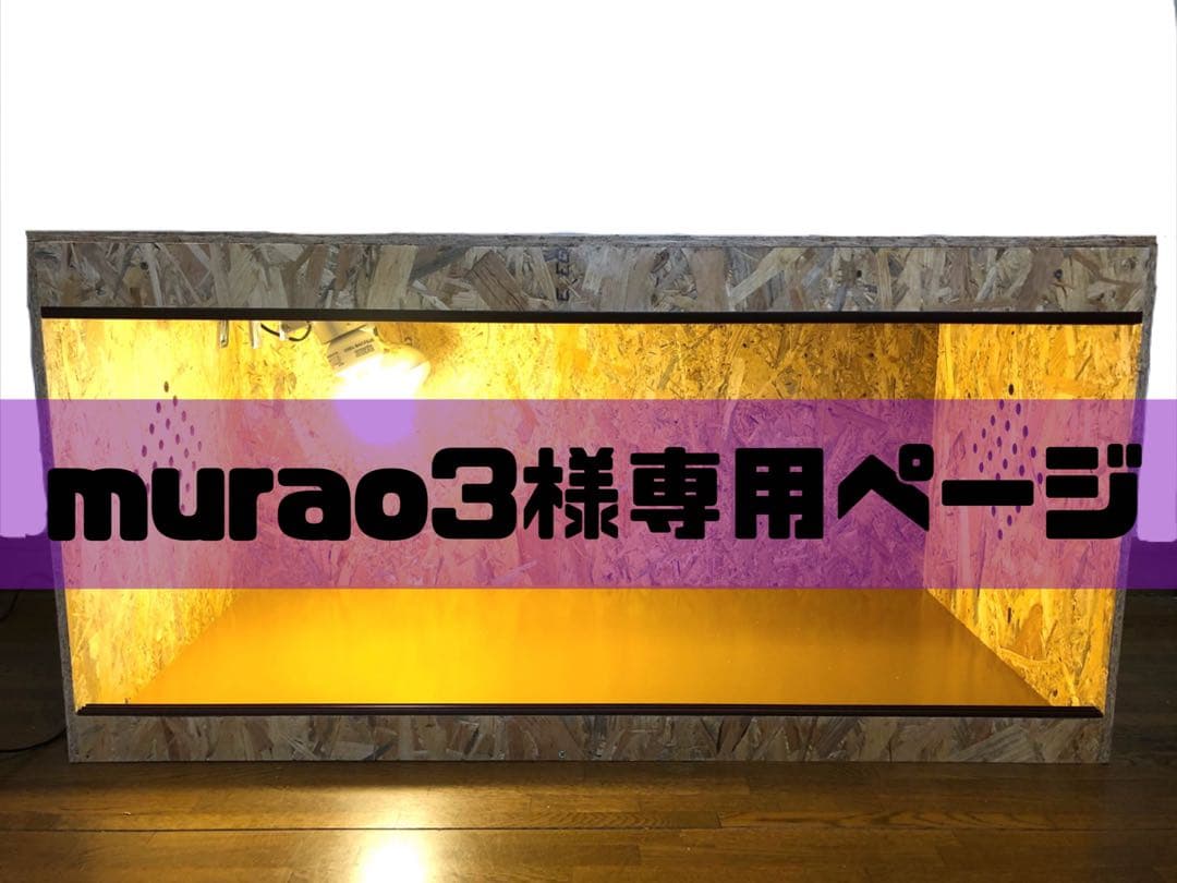 murao3ページ2