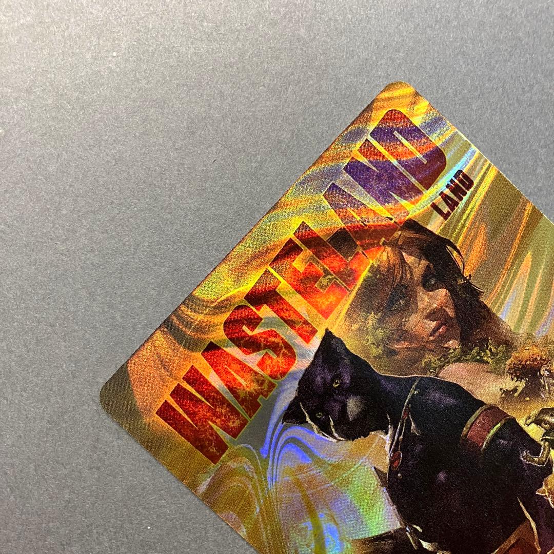 MTG 不毛の大地 英語 ボーダーレス ハロー Foil