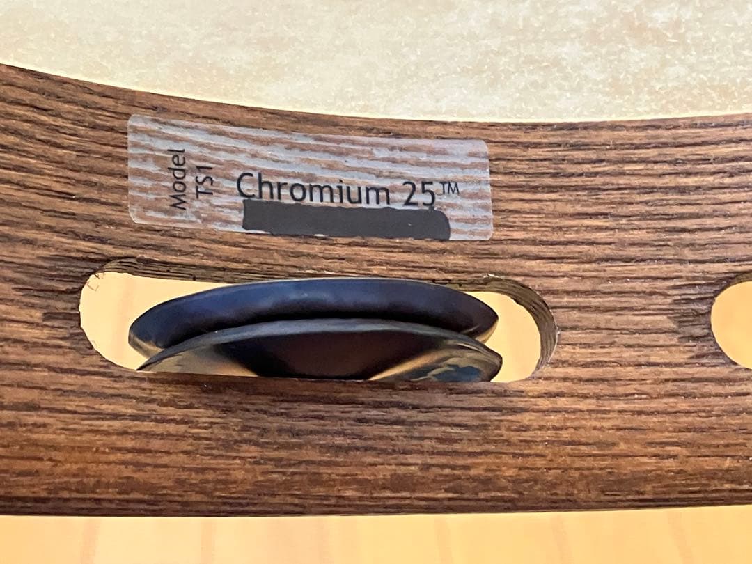 【記名塗りつぶし有】ブラックスワンプ タンバリンTS1 クロームジングル