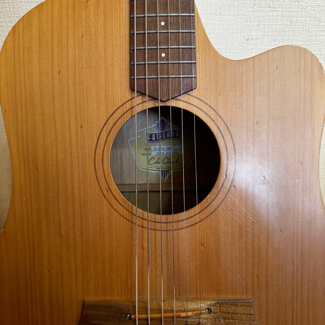Cole Clarkアコースティックギター ハードケース付き