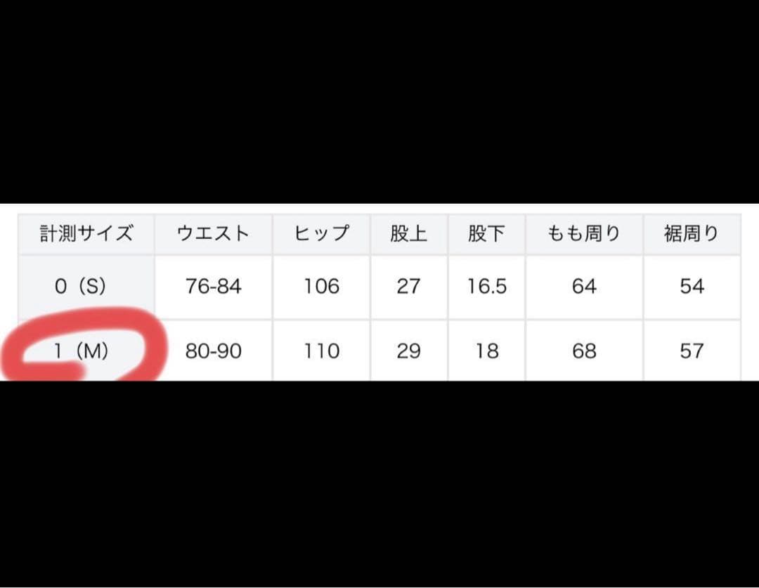 【美品】JAMES PERSE (ジェームスパース）　パフォーマンスゴルフパンツ