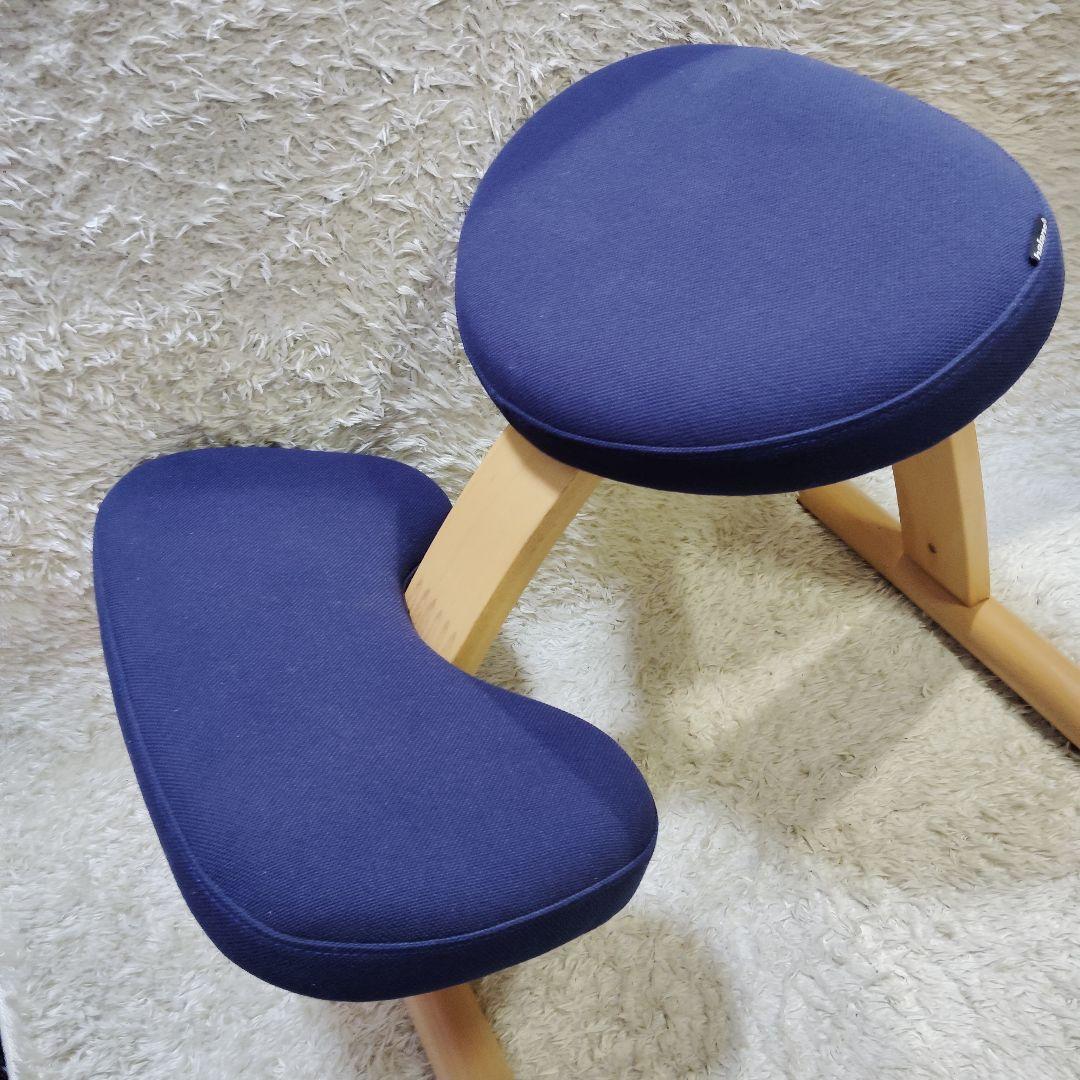 【バランスイージー】サカモトハウス バランスチェア 姿勢 balans easy