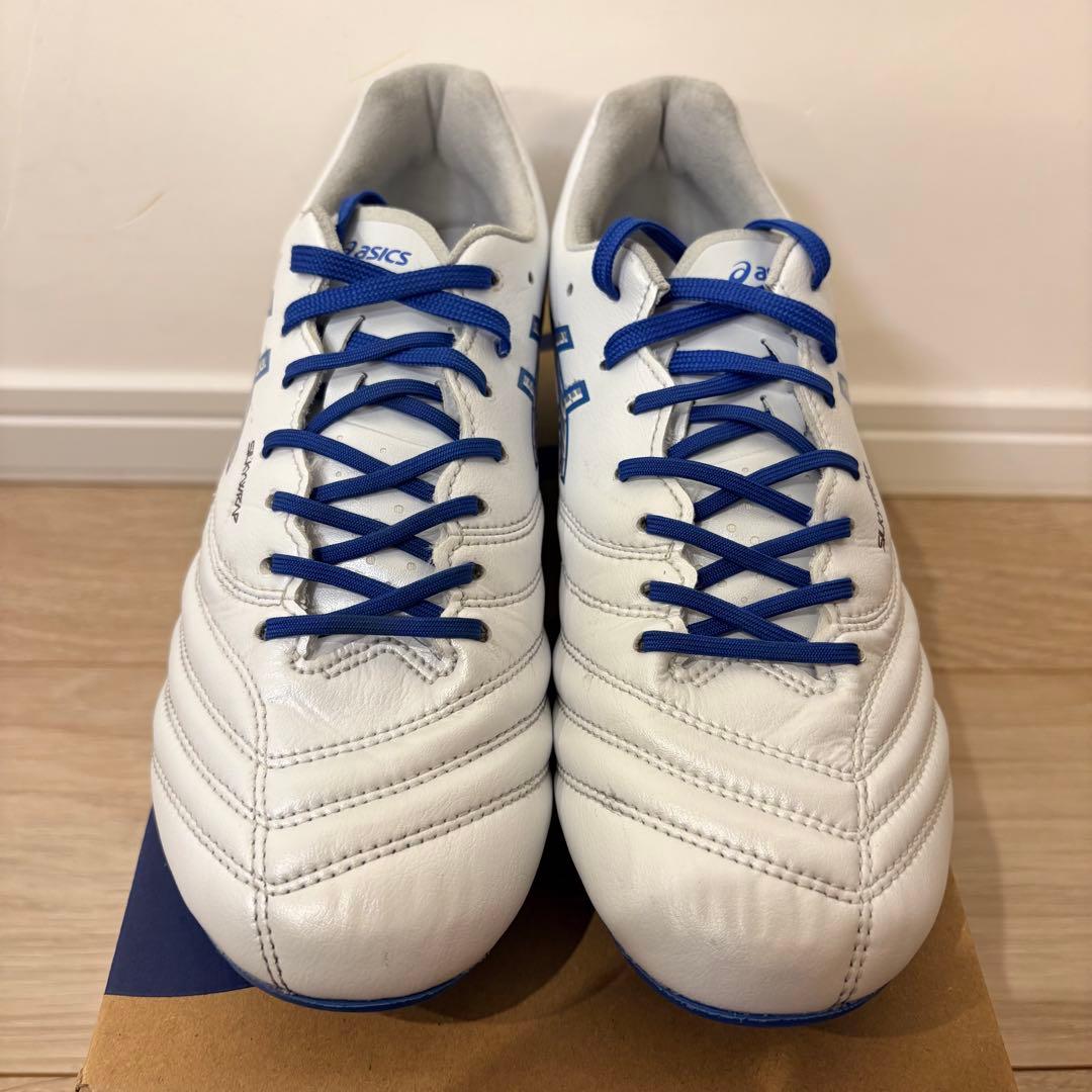 アシックス DS-LIGHT X-FLY PRO3 （25.0㎝）