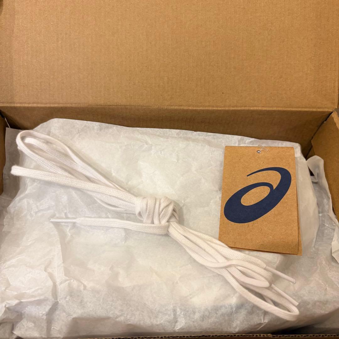 アシックス DS-LIGHT X-FLY PRO3 （25.0㎝）