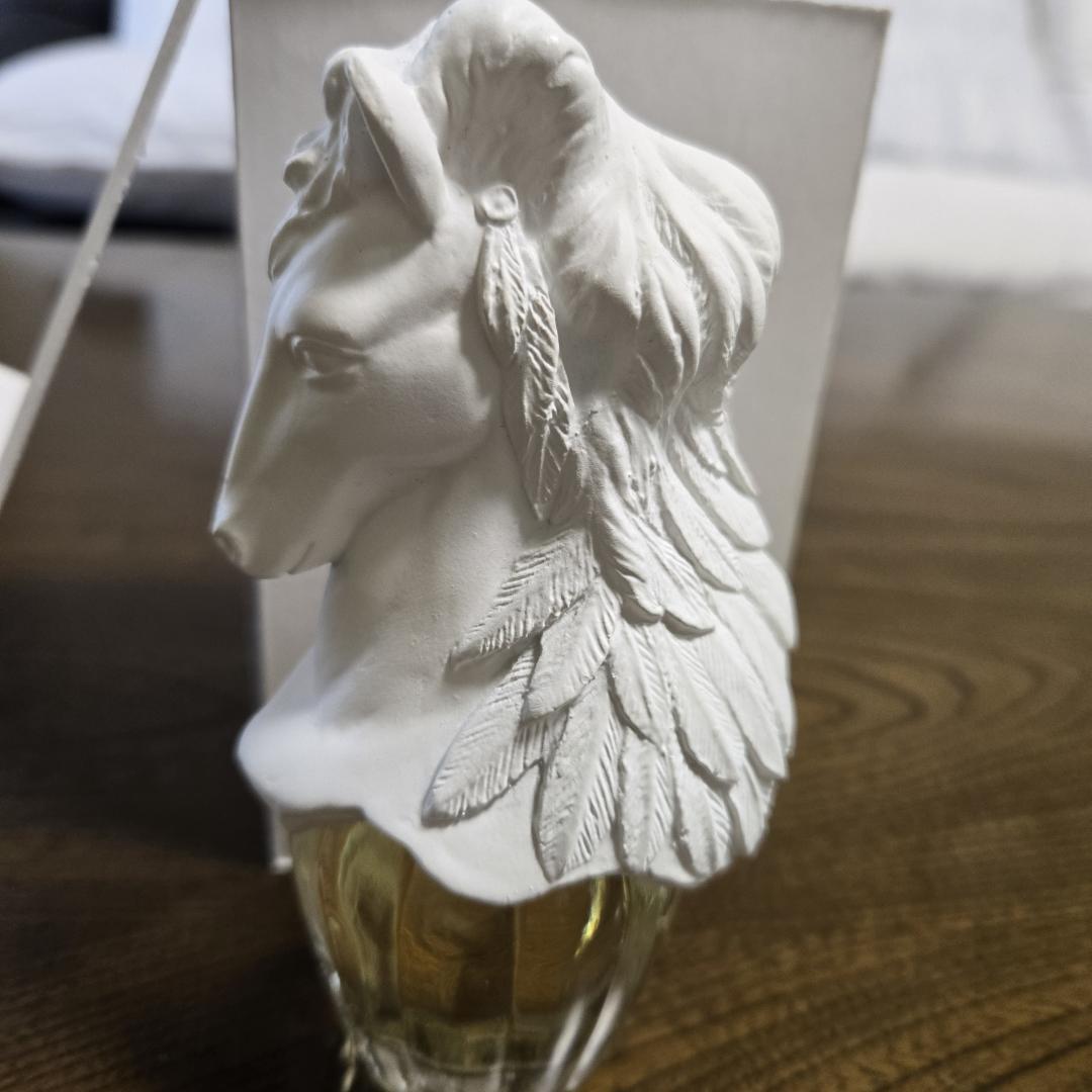 未使用 石井竜也　香水　PEGASUS