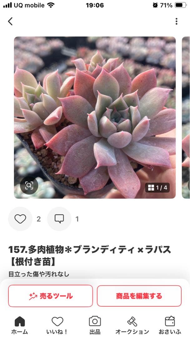 にゃ。様 リクエスト 11点 まとめ商品