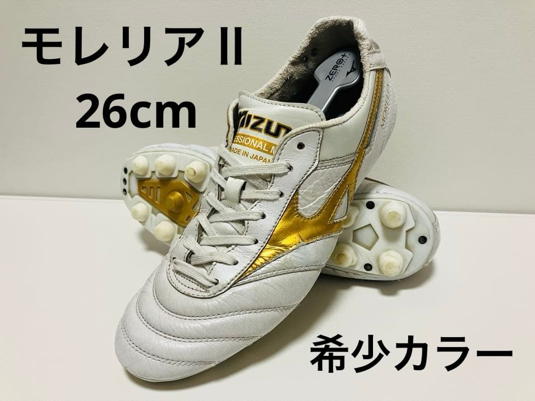 【大幅値下げ】モレリアⅡ 26cm 希少カラー