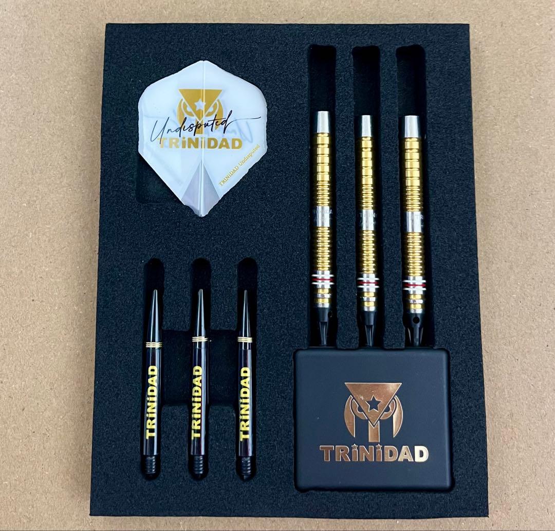 ゴメス16 EVO 山田勇樹 GOMEZ 16 トリニダード ダーツ 2BA