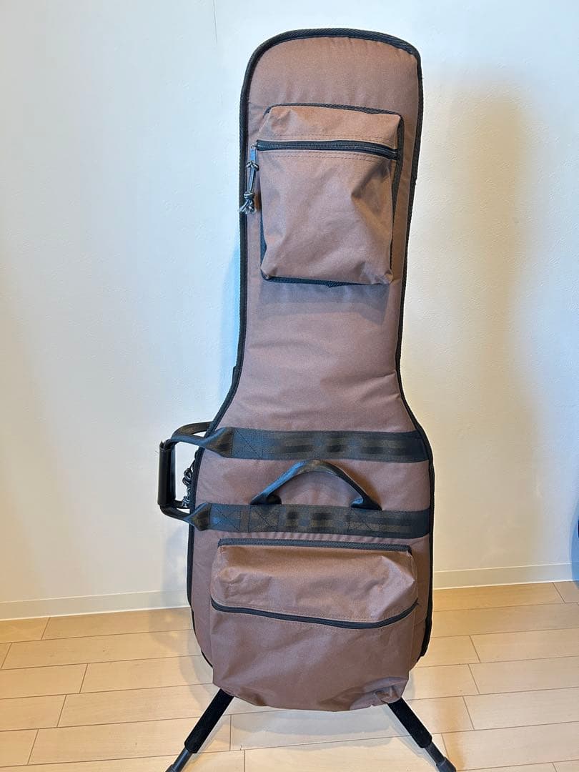 Vanzandt STV-R2 マダガスカルローズ指板