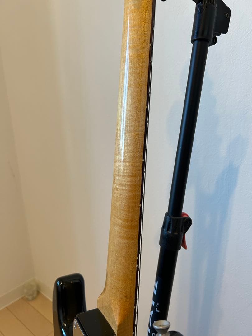 Vanzandt STV-R2 マダガスカルローズ指板