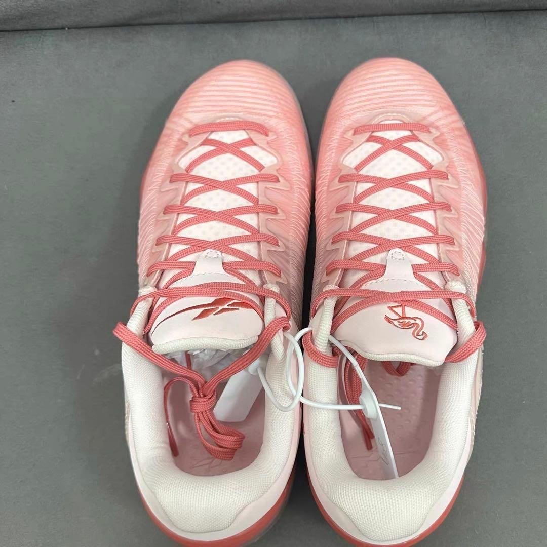 バスケ シューズ Player 1 Plus Flamingo