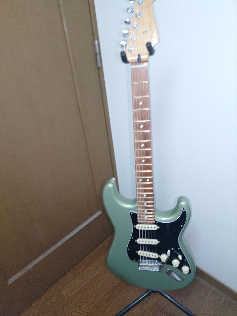 Fender Stratocaster Pre-Wired SSSピックガード