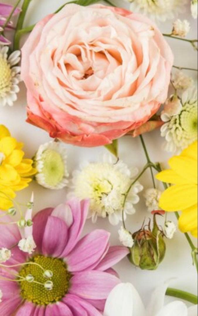 【専用】Hukumari様