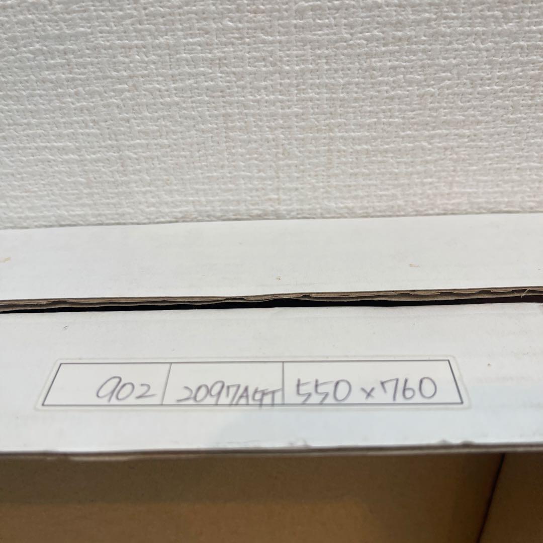 ジョアンアイザック550×760