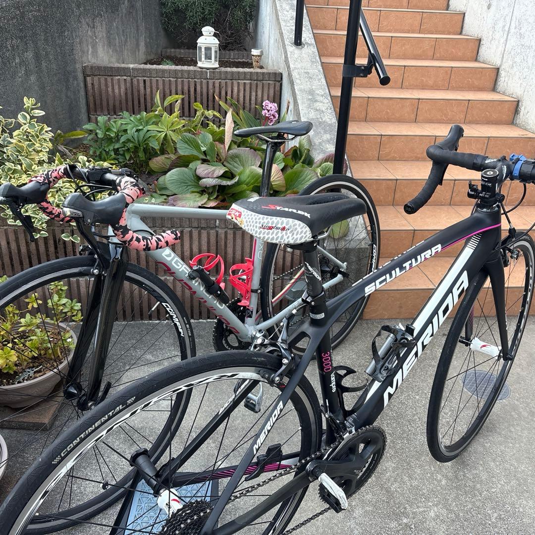 カ*ン様 メリダ　ガノー　2台と小物