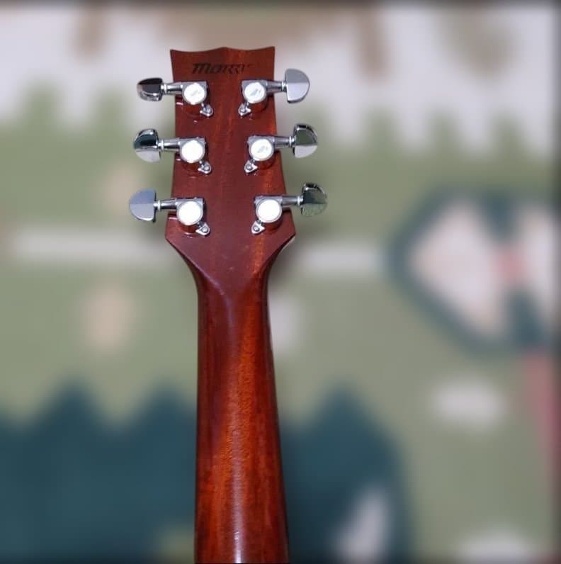 Morris MG-601 アコースティックギター サンバースト