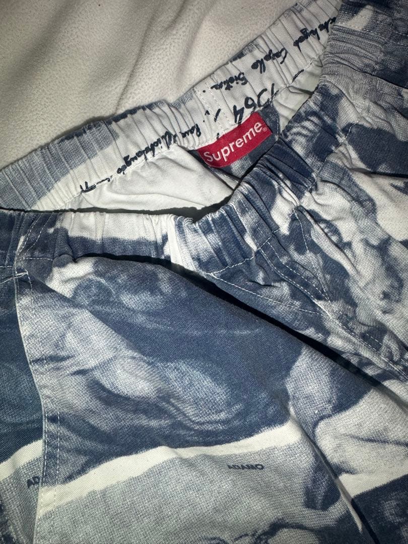 Supreme ミケランジェロ 17AW pants