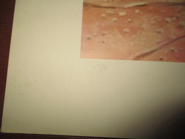 その他 little feat neon park down on the farm