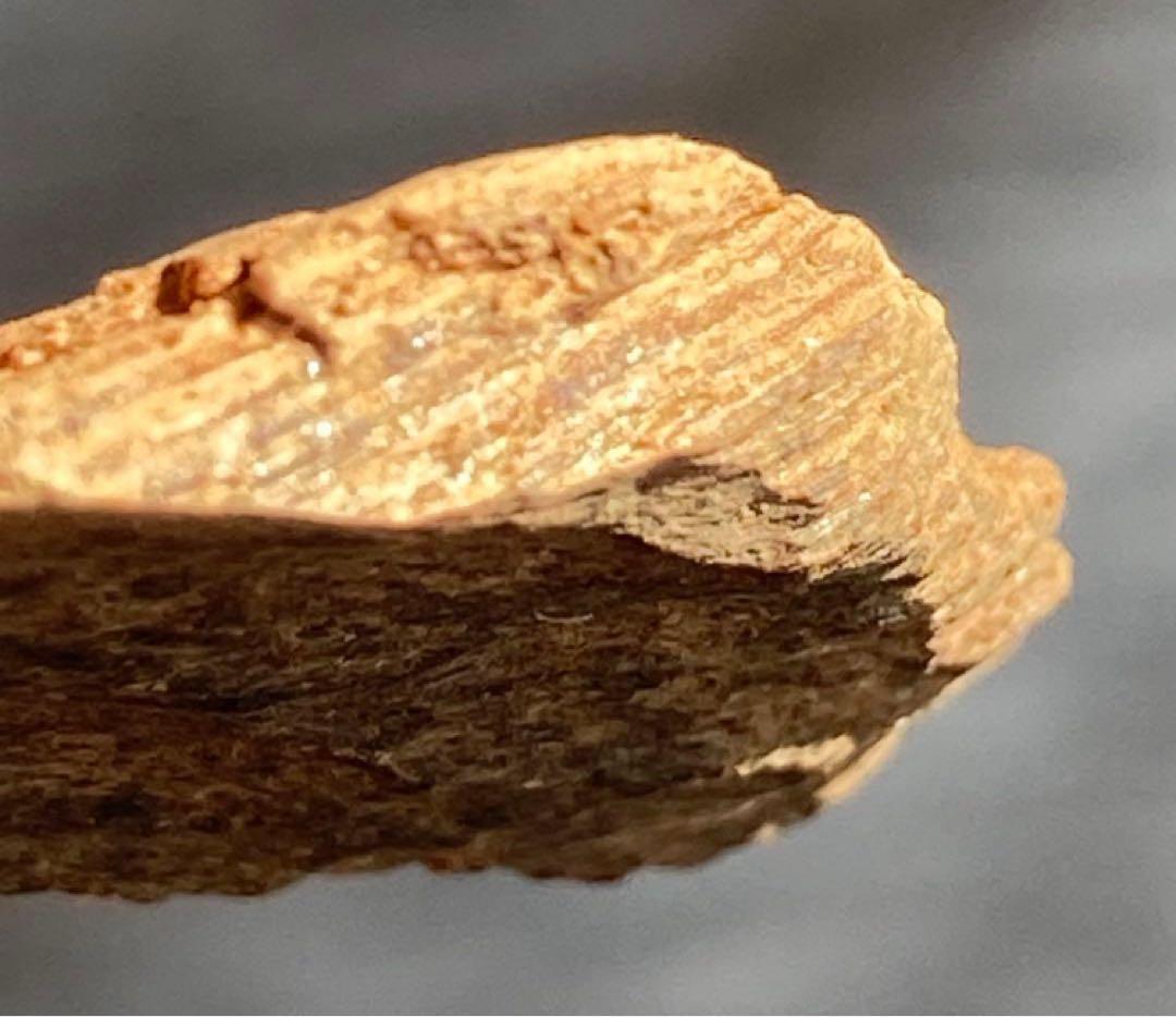 シャム　香木　お香　天然沈香