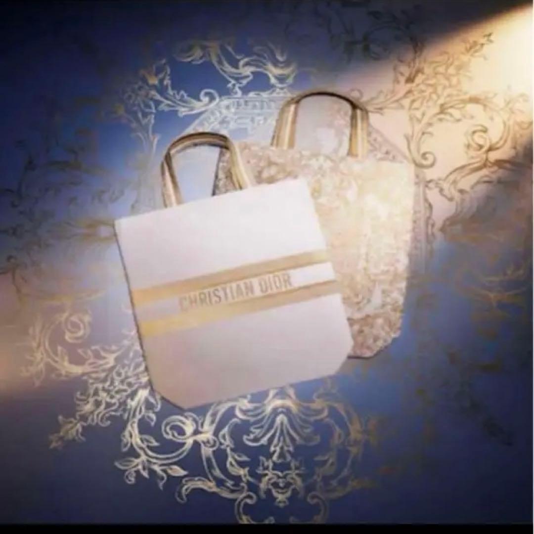 DIOR トートバック　六本木