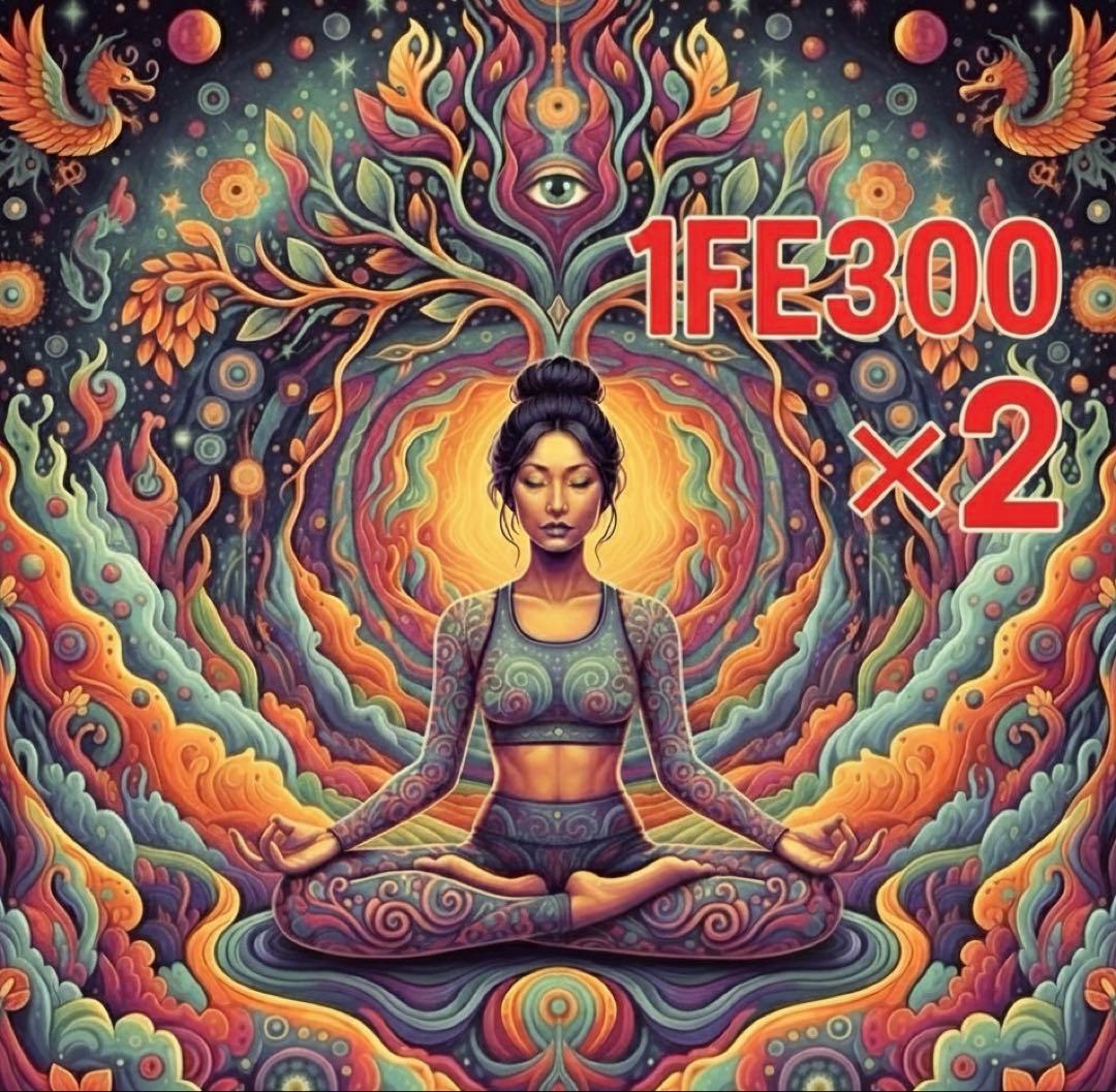 1FE 300 超絶技巧極小アート作品　2set