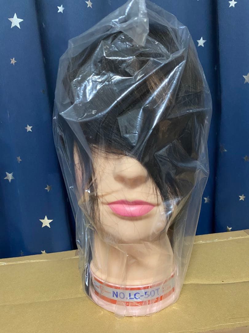 美容学校用 ウィッグレジーナ LC-50T 4個