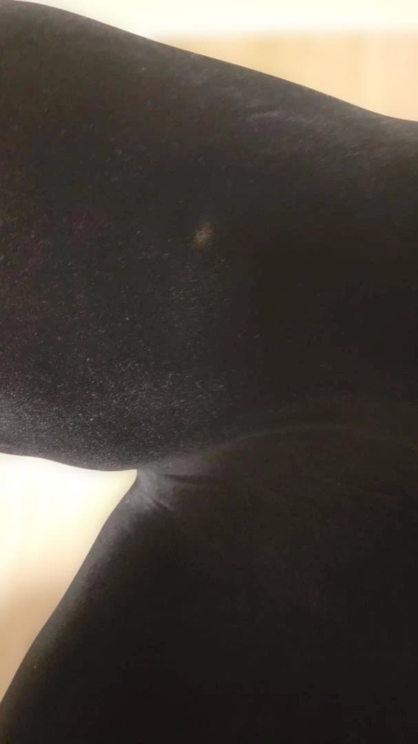 【早い者勝ち】MTG Style PREMIUM DX デラックス　ブラック