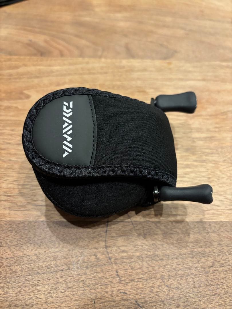 DAIWA 24STEEZ SV TW 100H 【送料込み/即日発送】