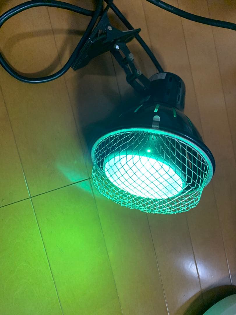 ソーラーラプター HIDランプ 70W メタルハライドランプ　爬虫類