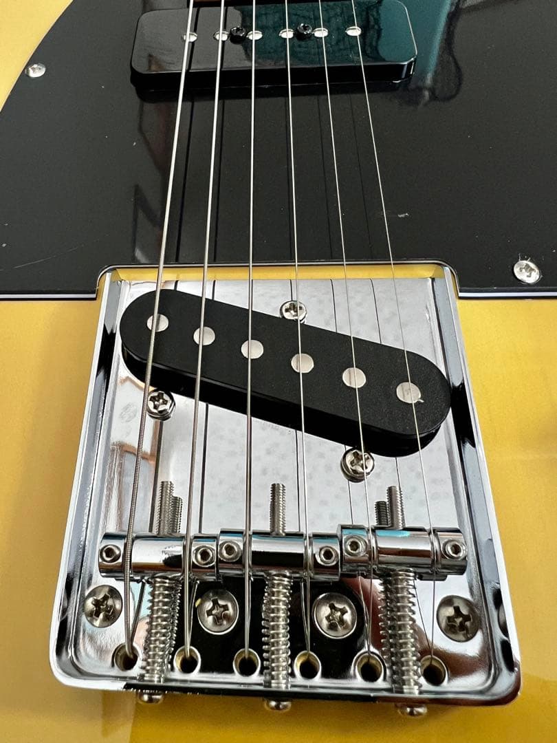 バッカスUniverse Series BTE-2-RSM/M (BBD)