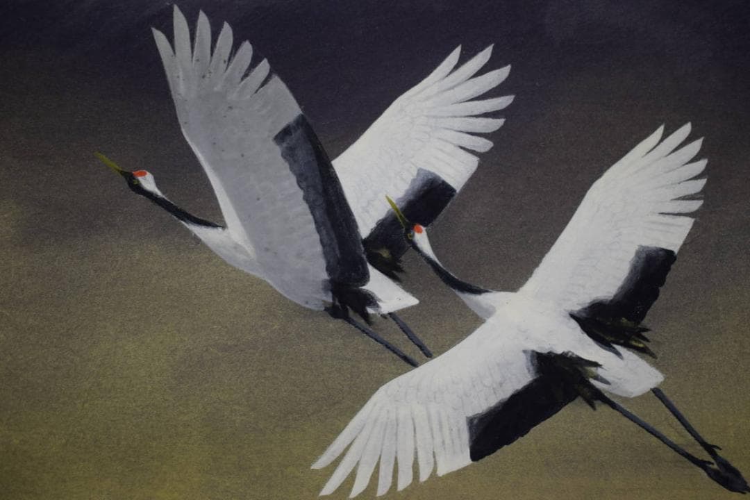 真作/川村憲邦/富士翔鶴/桐共箱太巻二重箱付/布袋屋掛軸HG-351