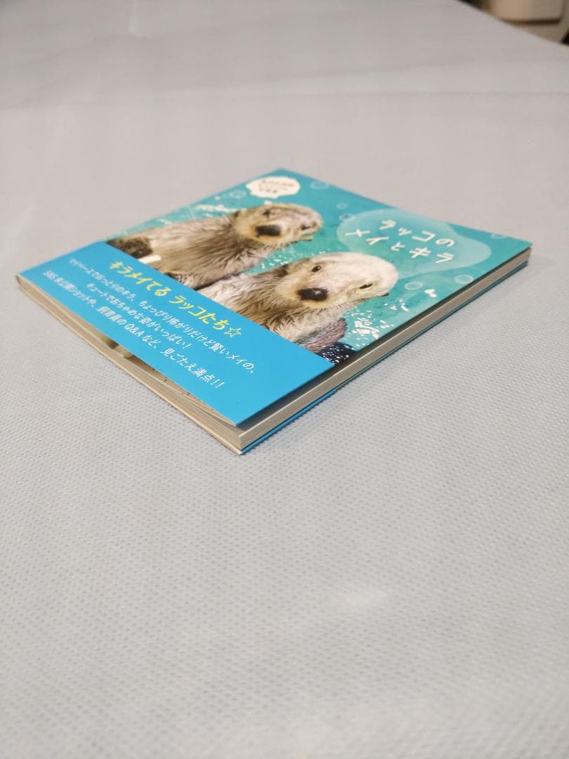 鳥羽水族館　ラッコのメイとキラ　写真集