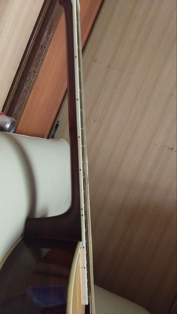 MORRIS TF-60 モーリス ハカランダ　アコースティックギター