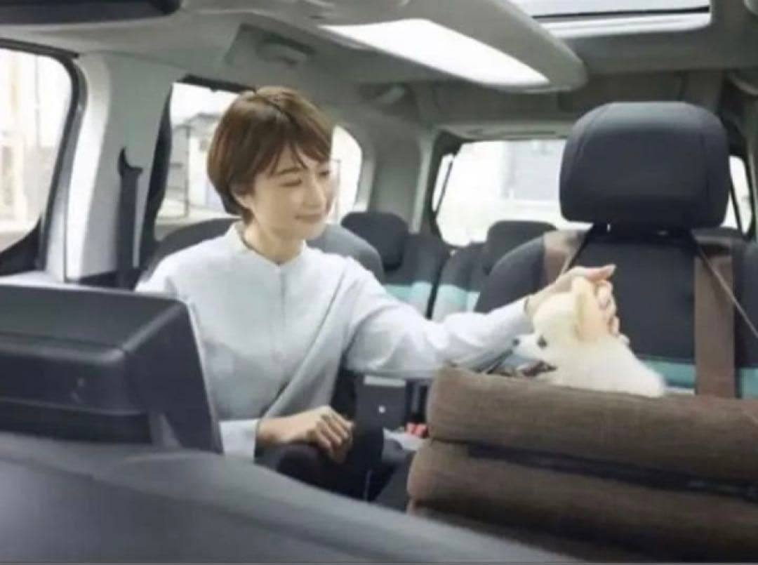 ペピィ　PEPPY ソファボックス（車窓乗り出し防止ドライブボックス）　ブラウン