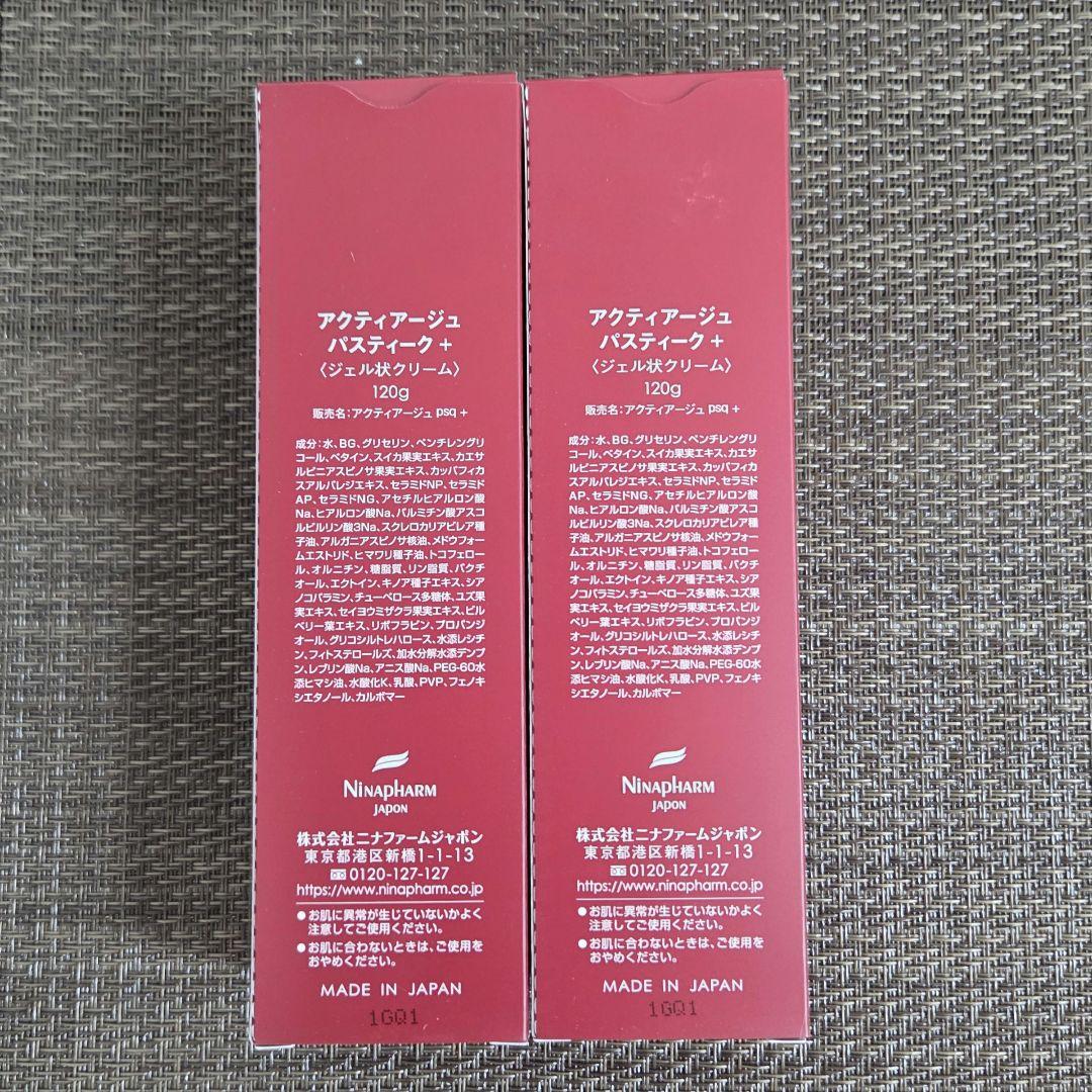 【未開封 美品】ニナファーム　アクティアージュ　パスティーク　A01114