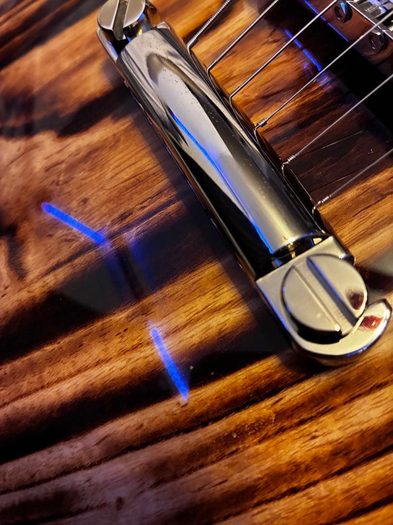 EDWARDS E-RODEOholic　GWS ロックペグ付き