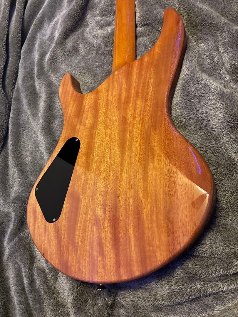 EDWARDS E-RODEOholic　GWS ロックペグ付き