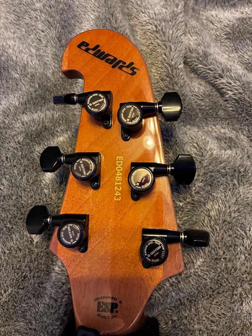 EDWARDS E-RODEOholic　GWS ロックペグ付き