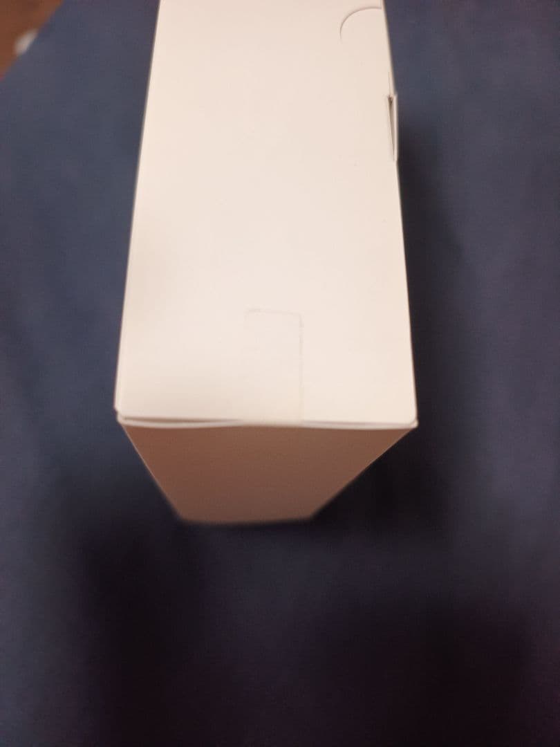 未開封　レオンポケット5 ウェアラブルサーモデバイス