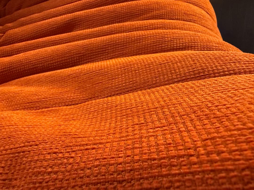 リーンロゼ　トーゴligne roset togo