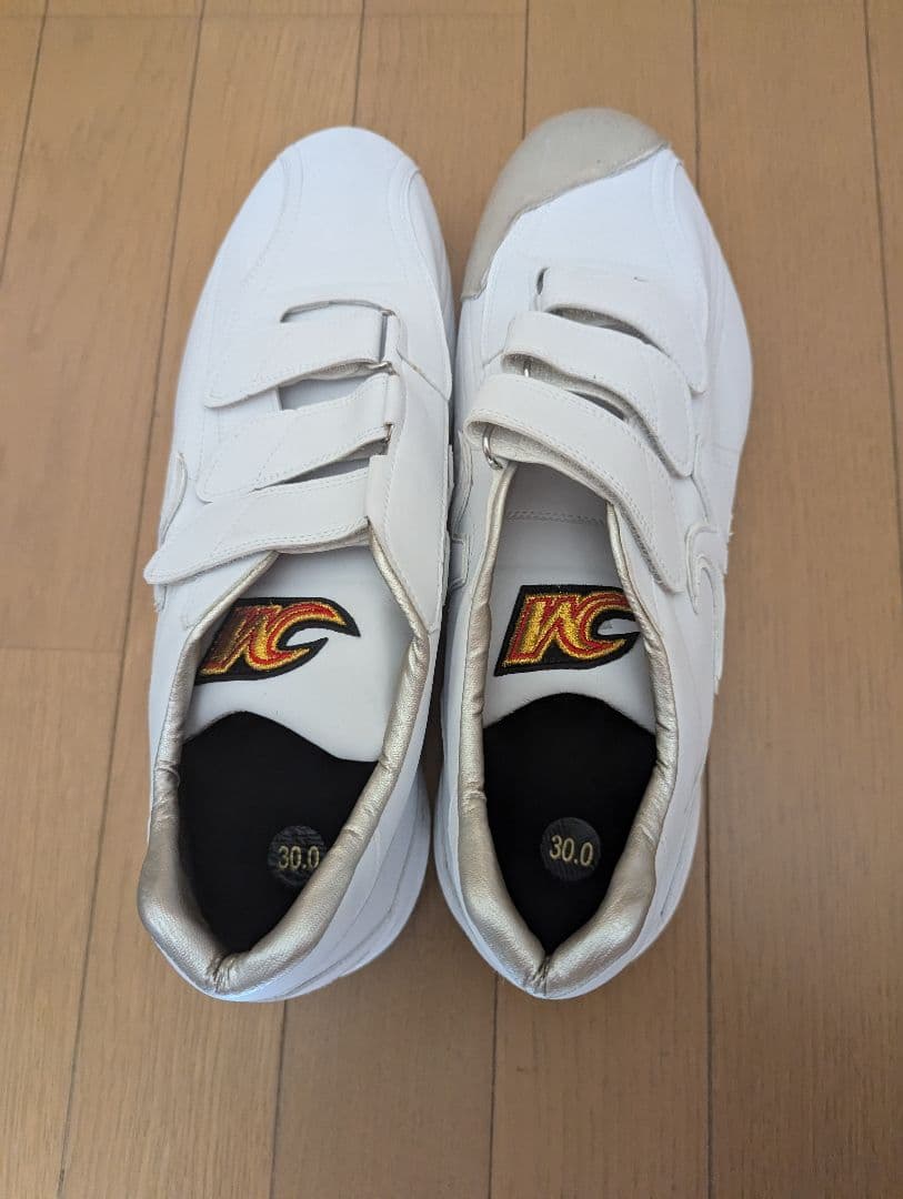 Pカバー付き埋込金具スパイク30cmメジャーステージ