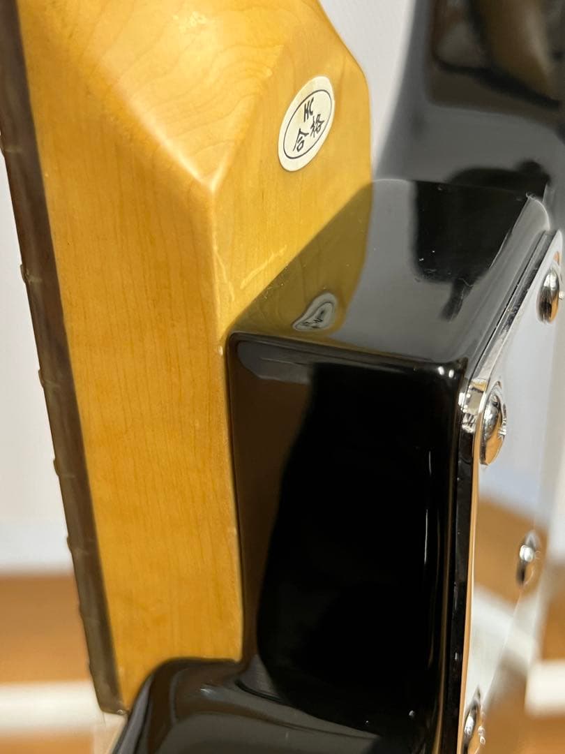 【フルメンテ済】SELDER エレキギター 初心者・練習用セット