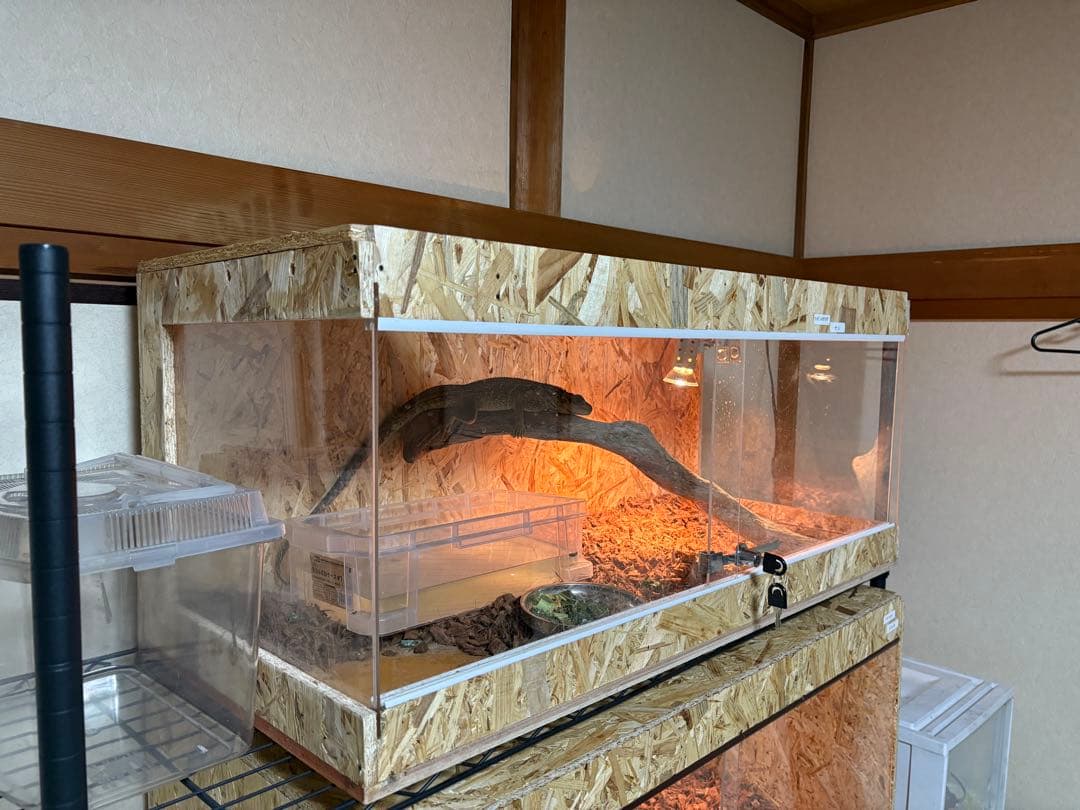 爬虫類ケージ　90×40×40 サイドアクリルレール無しタイプ　爬虫類　ペット