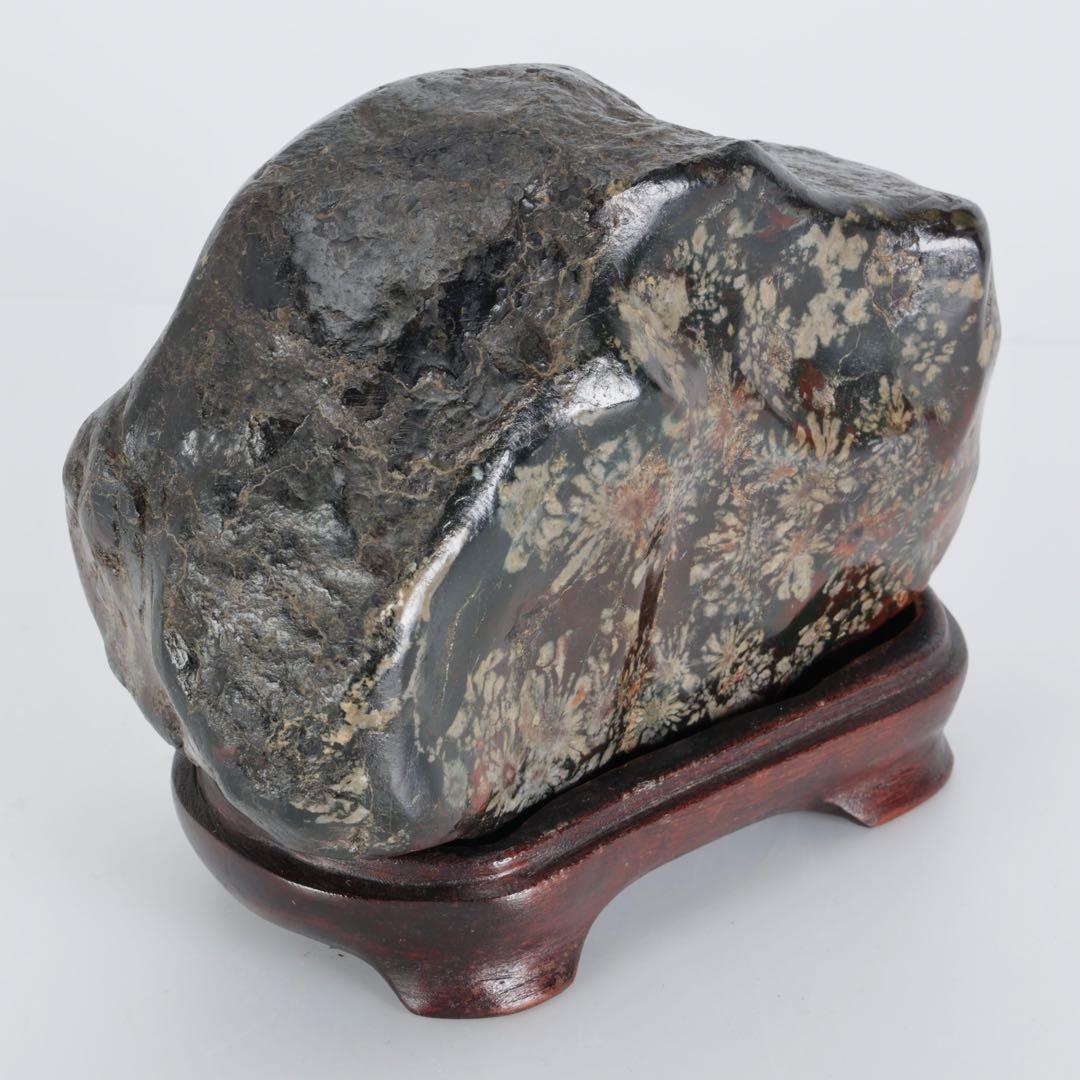 あ*げ様 根尾川産 六華　菊花石 小菊明瞭 台座・共箱付 鑑賞石 盆石 紋石 原