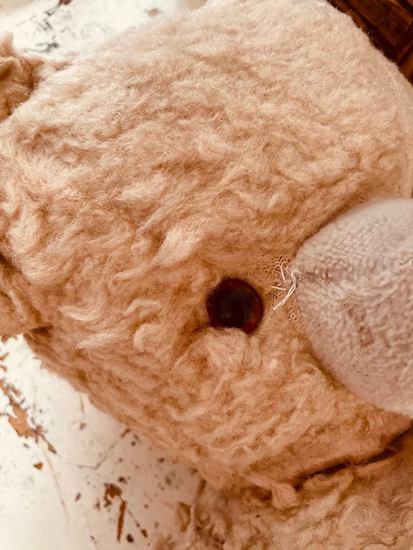 く*ん様 フランス　ヴィンテージベア　モコモコ♡⸝⸝⸝⸝ アンティークベア